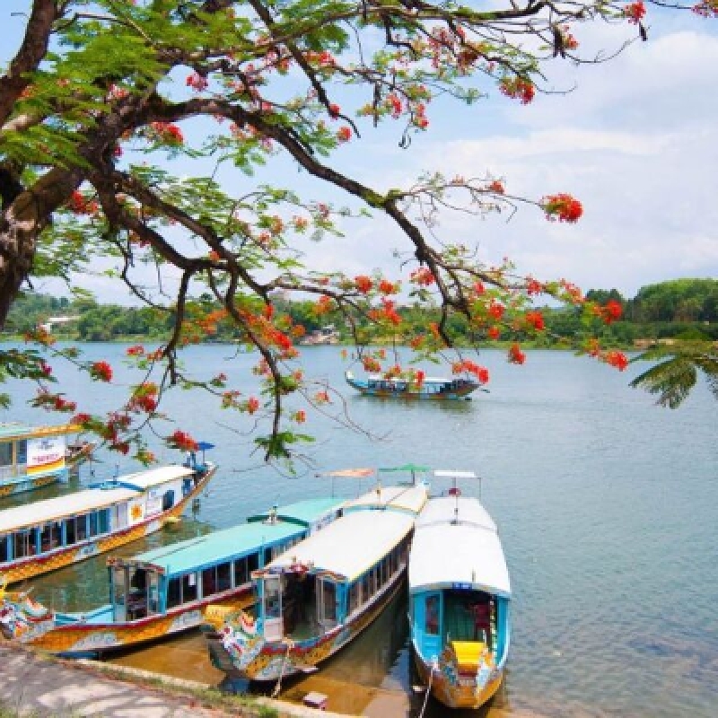 Hue Imperial City & Hai Van Pass Day Tour from Hoi An - Small Group 5