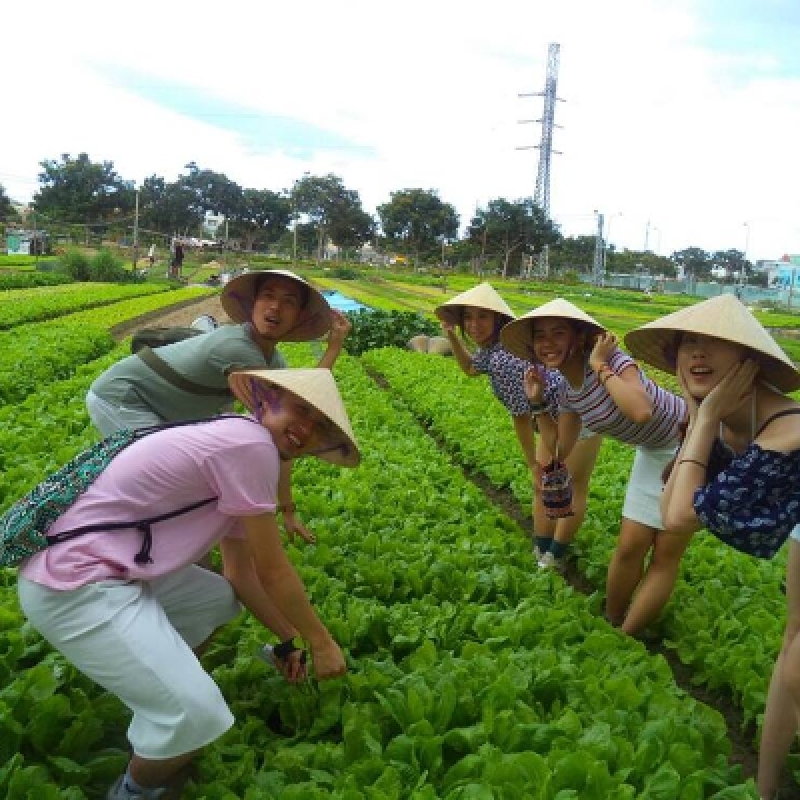 Tra Que Village Afternoon Cooking Farming Tour with Bike Ride in Hoi An 7
