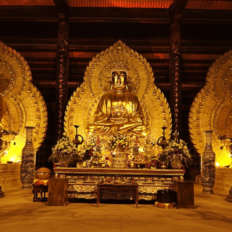 Luxury Bai Dinh Pagoda and Trang An Small Group Day Tour by Limousine 4