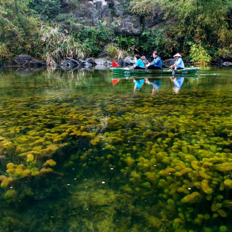 Trang An Bai Dinh Pagoda Day Trip with Mua Cave Luxury Small Group Tour 6