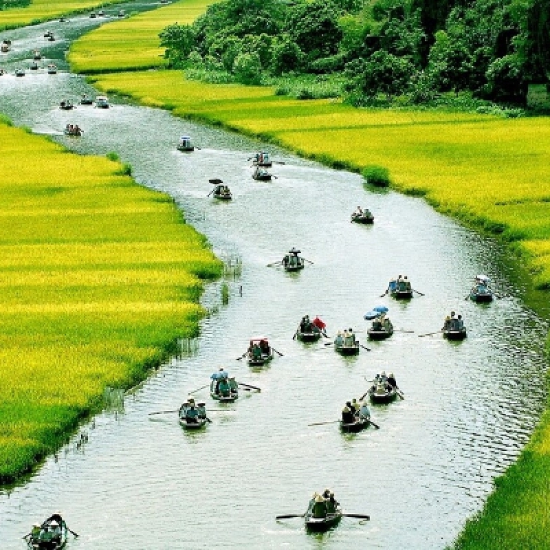 Hanoi to Ninh Binh Luxury Small Group Day Tour with Hoa Lu Tam Coc Cycling 2