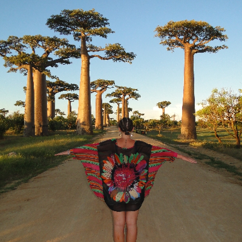 West of Madagascar in 12 days 2