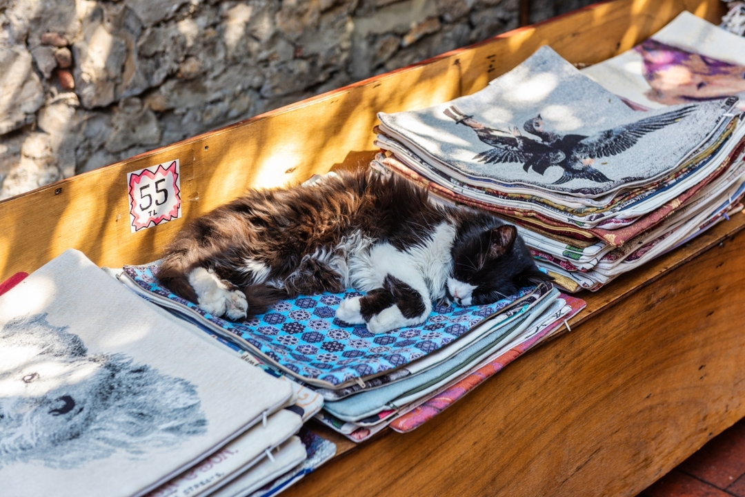 Daily Fethiye Tuesday Market Tour 3