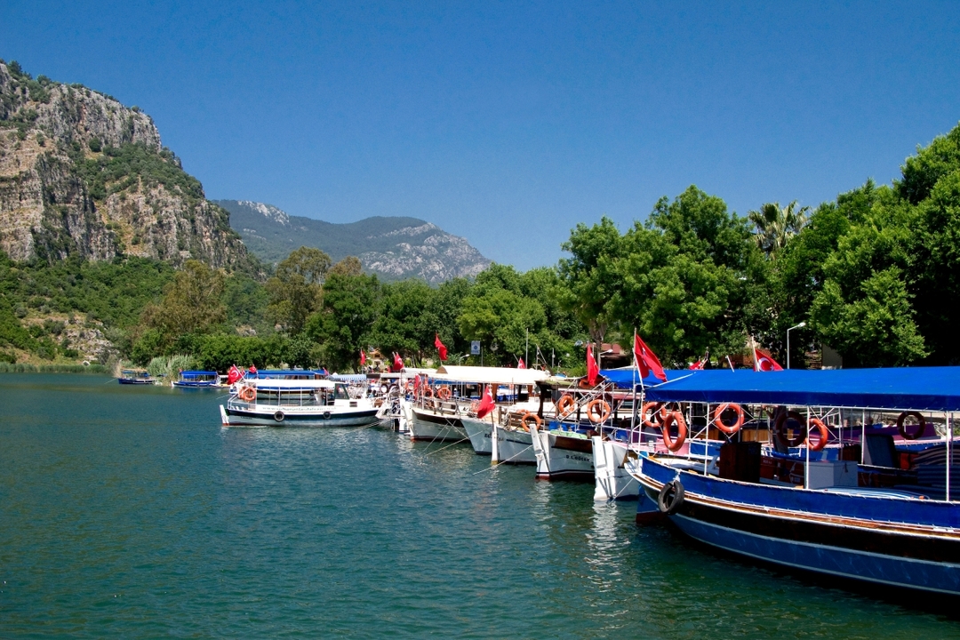 Dalyan River Cruise, Mud Baths & Iztuzu Beach Day Tour from Fethiye 10