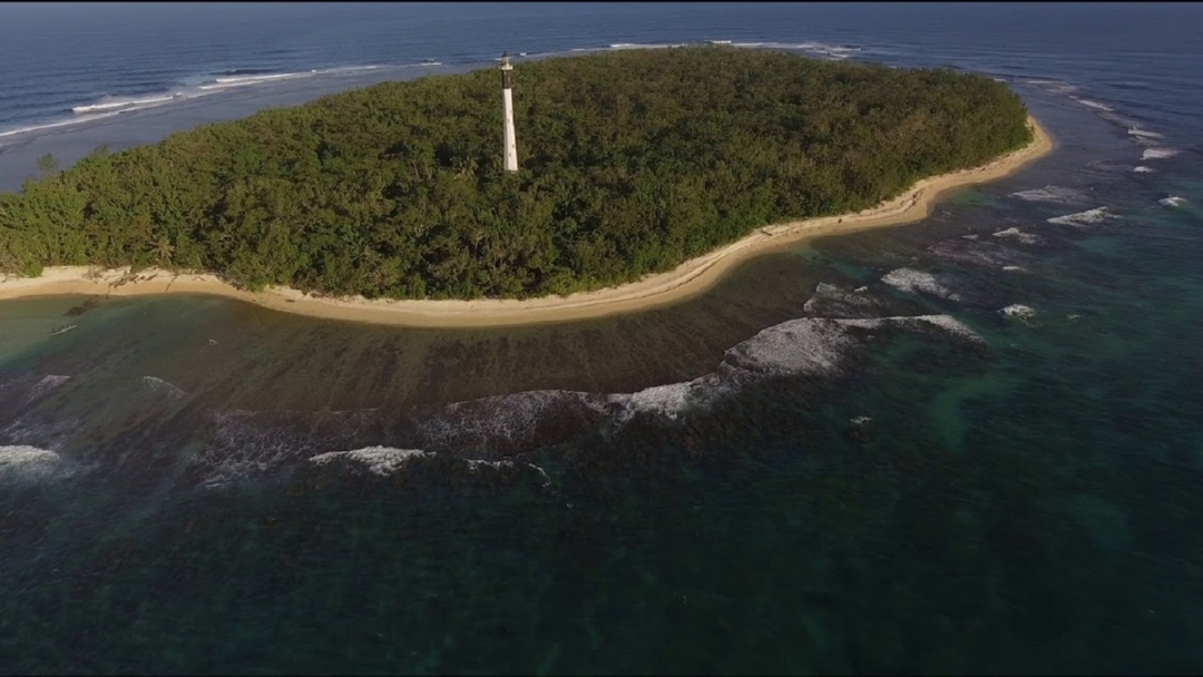 The Eastern Madagascar wonder 2