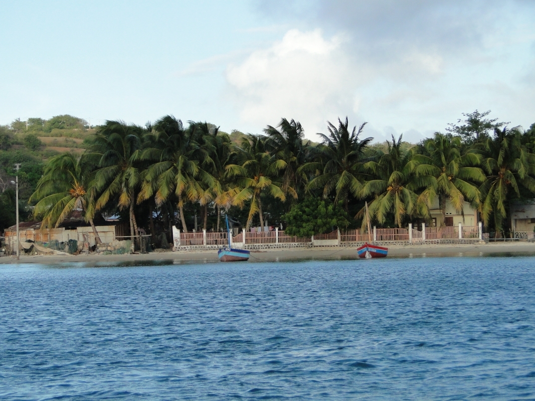 The Eastern Madagascar wonder 7