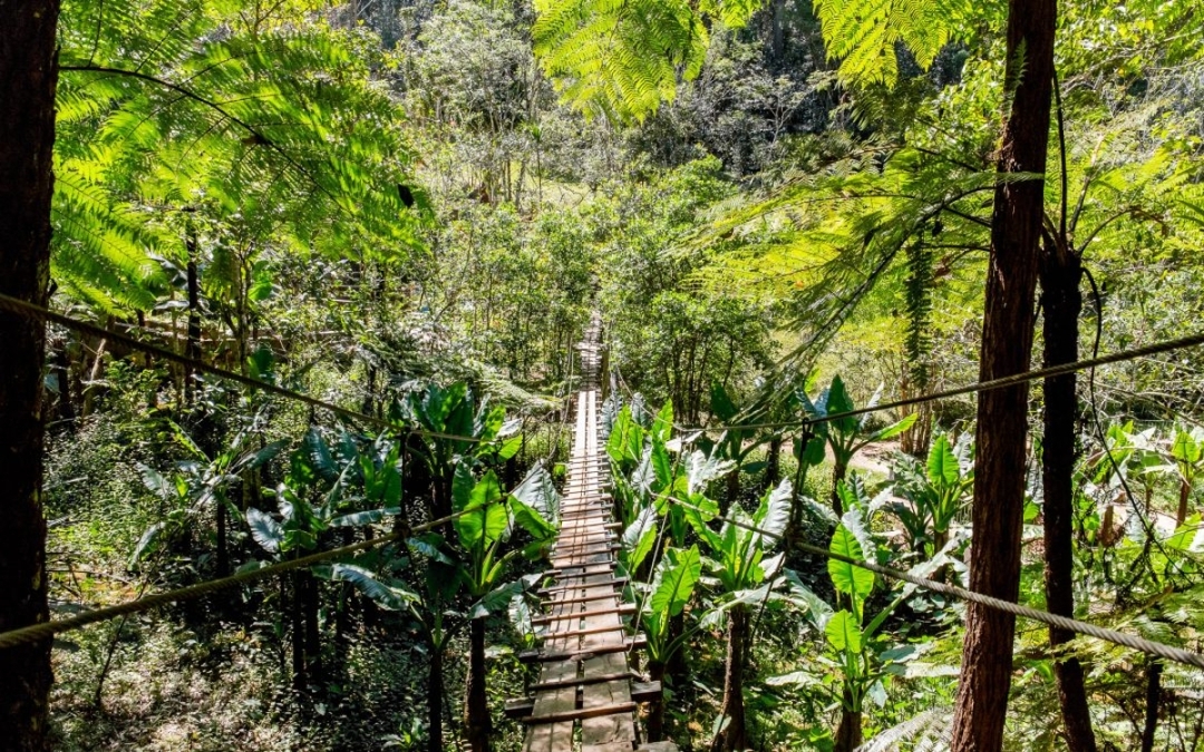 Madagascar splendid East journey 2