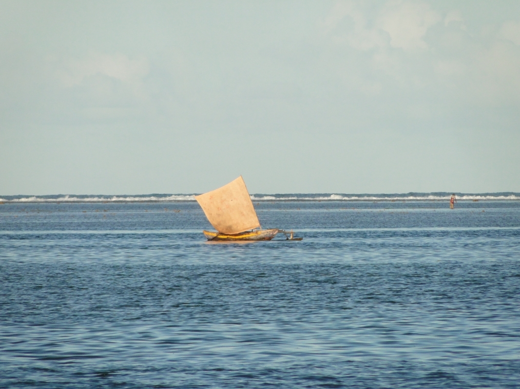 East tour passing through Foulpointe and Sainte Marie 10