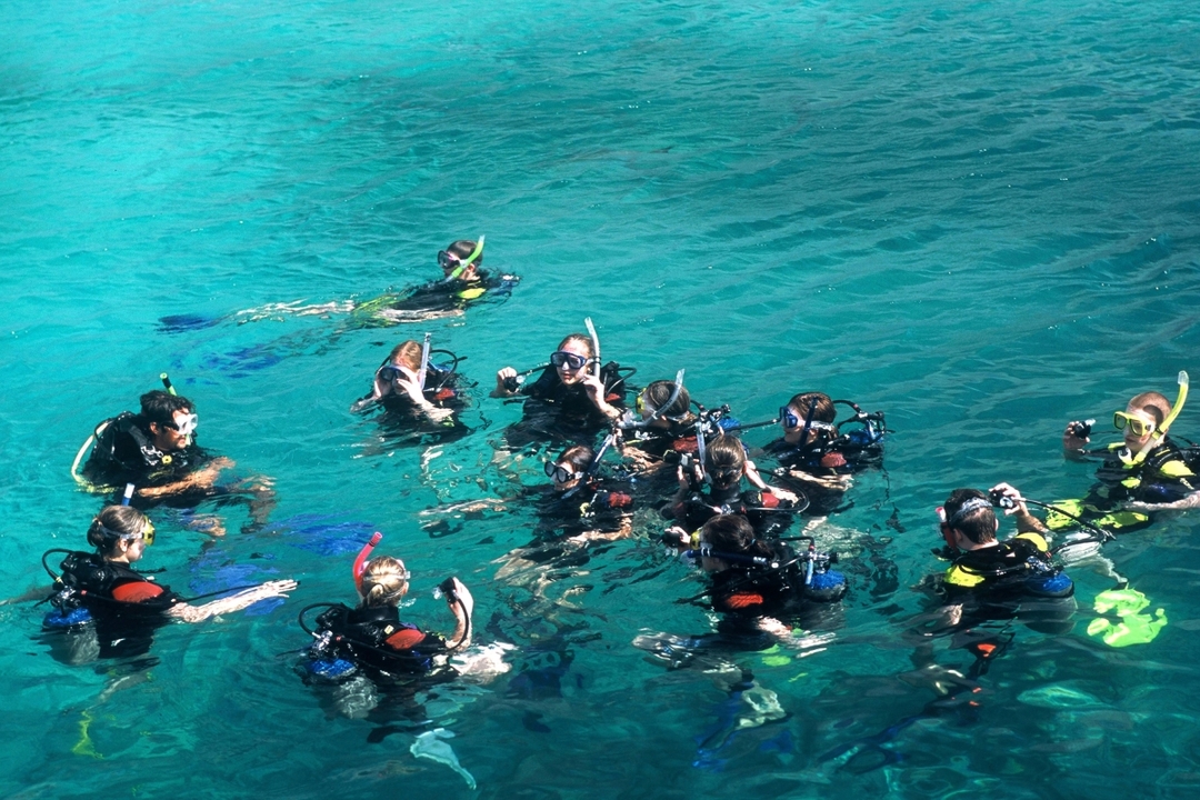 Daily Cesme Scuba Diving Tour 6