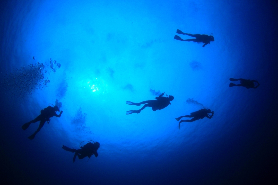 Daily Cesme Scuba Diving Tour 7
