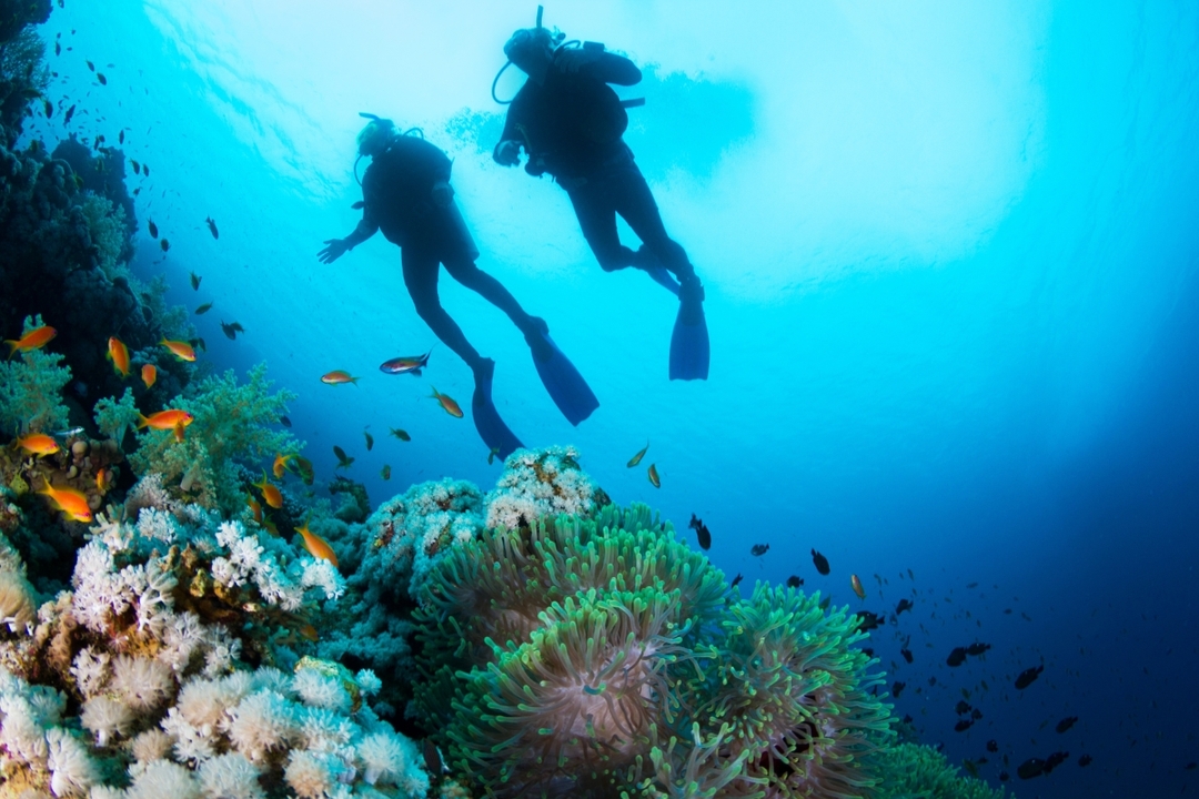 Daily Cesme Scuba Diving Tour 11