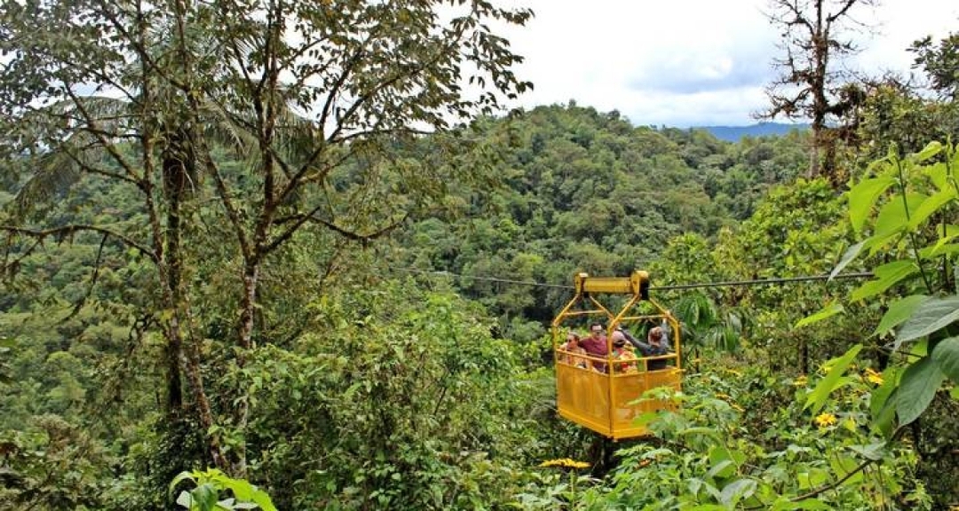 Full Day Mindo Cloudforest - Shared Group 5