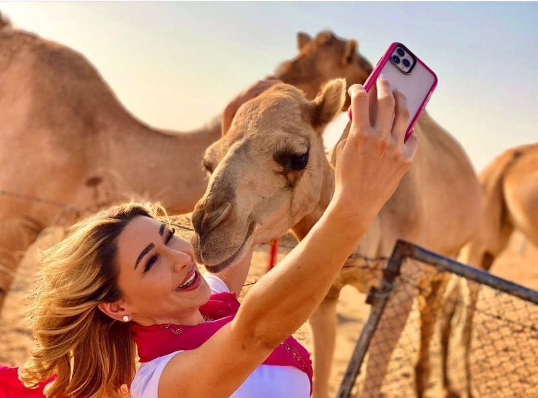 Dubai: 4 Days Express Package with Hotel Transfers 8