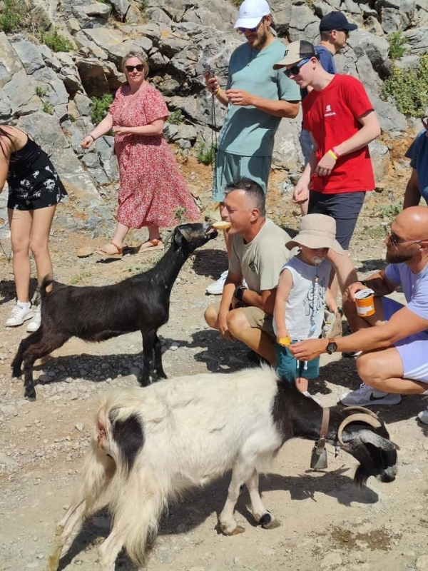 Malia: Lasithi Plateau Zeus Cave Guided Tour 5