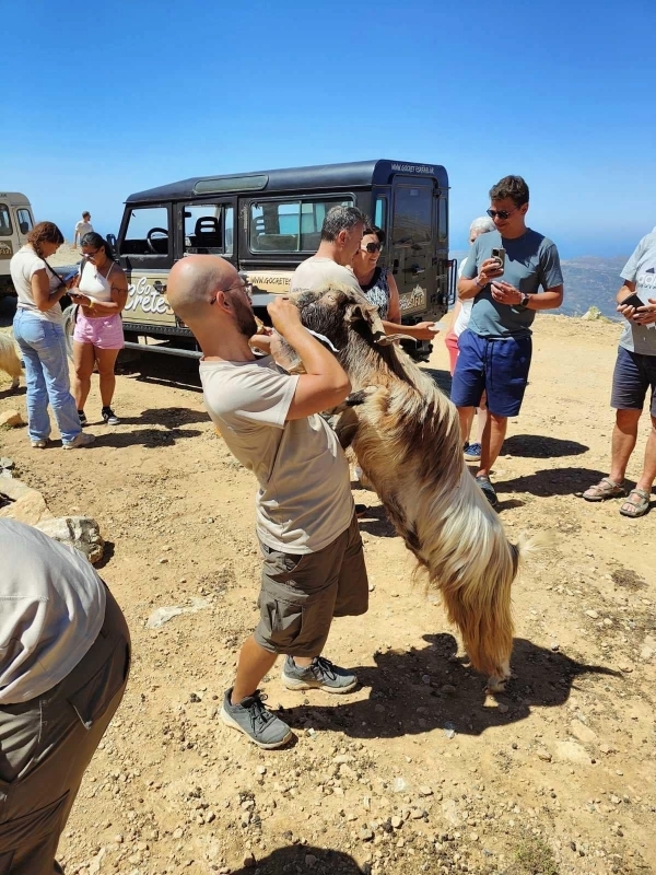 Malia: Lasithi Plateau Zeus Cave Guided Tour 1