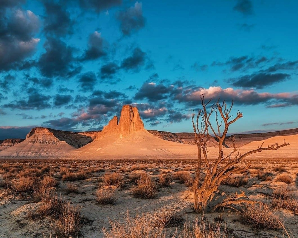 Aral Sea & Nukus Extension (3 days) 3
