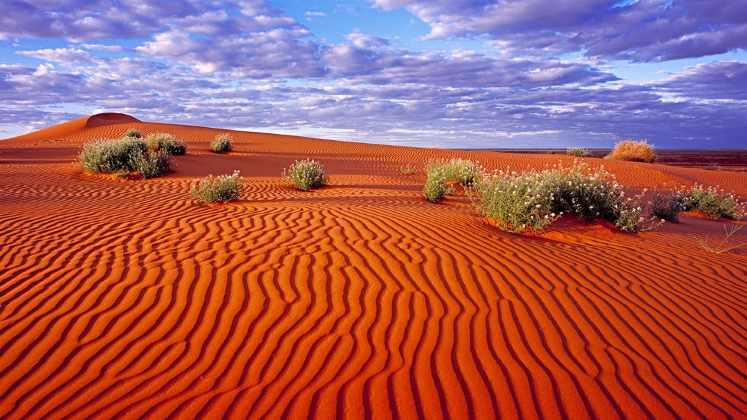 Uzbekistan – Classic tour 2025 4