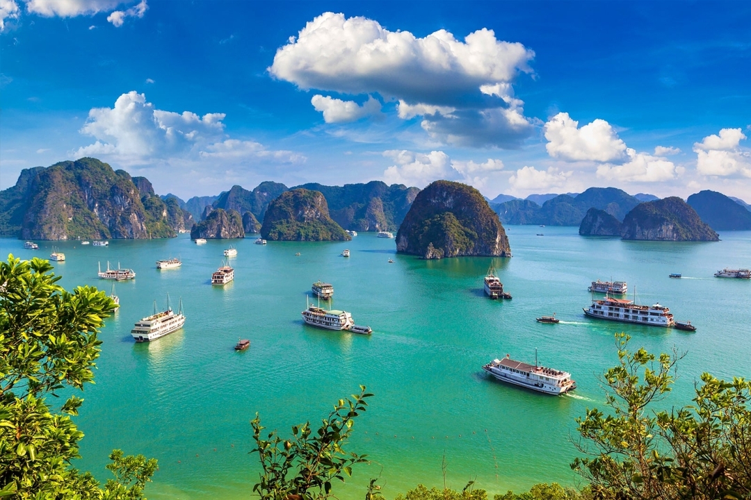 8 days Essential Vietnam package tour 10