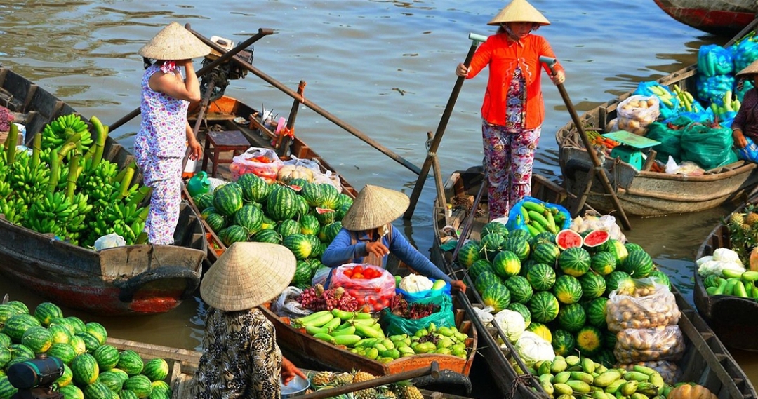 8 days Essential Vietnam package tour 1