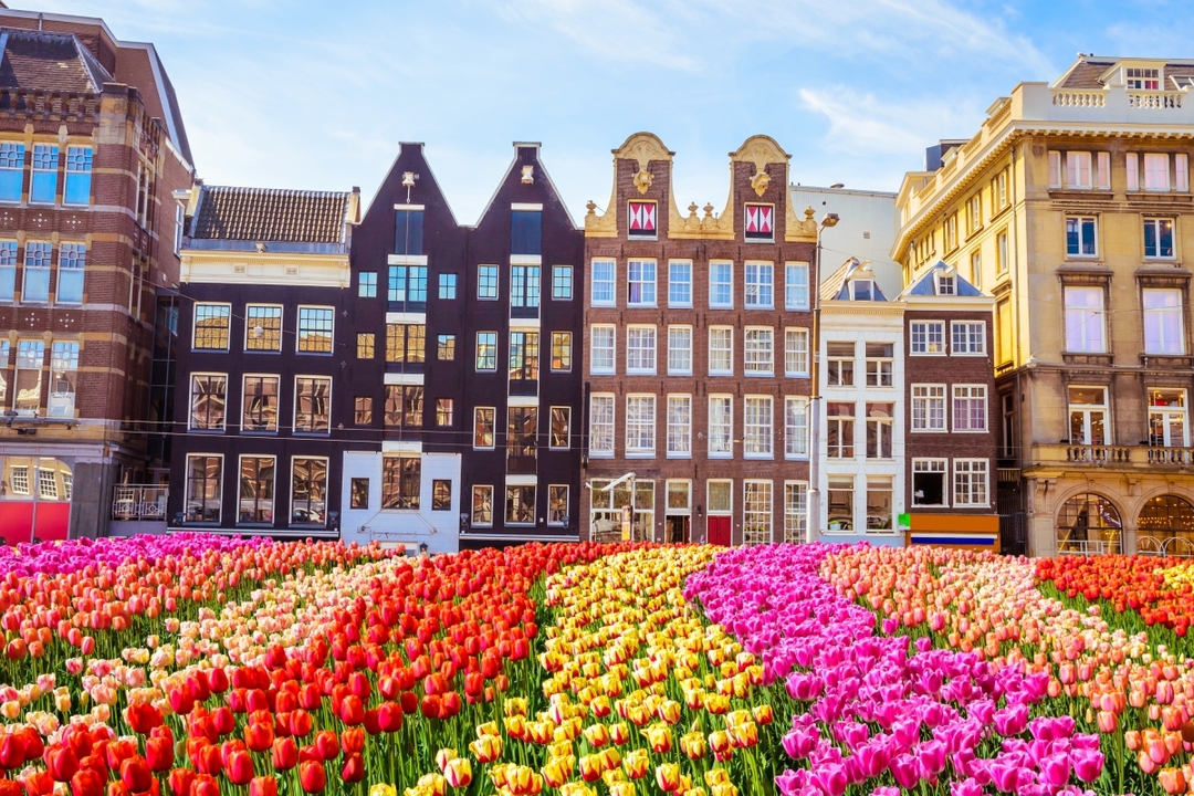 7 Days – 6 Nights Amsterdam Tour 4