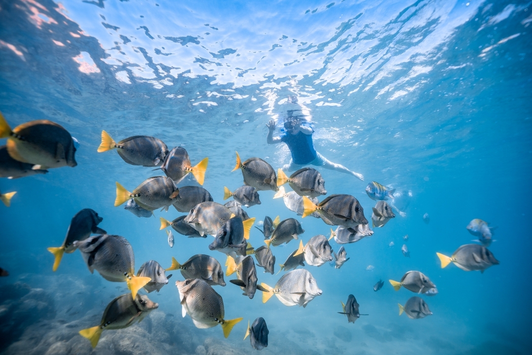 Cabo Kayaking & Snorkeling Tour at The Arch 2