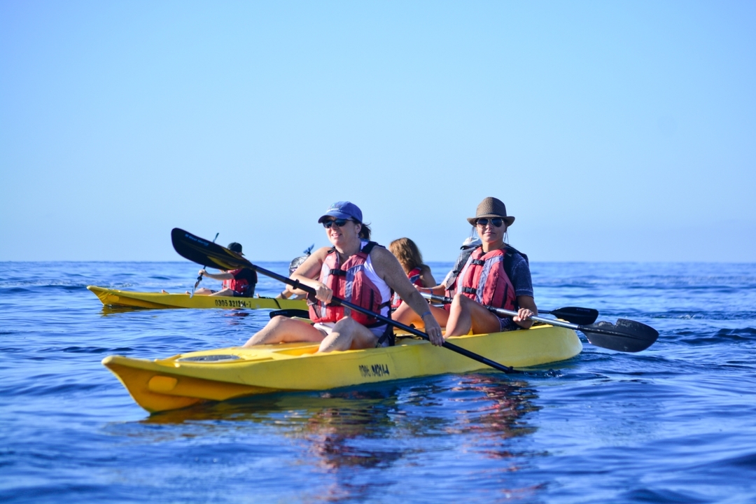 Glass-Bottom Kayaking in Cabo & Snorkeling Tour at Two Bays 4