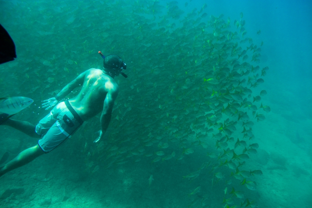 Glass-Bottom Kayaking in Cabo & Snorkeling Tour at Two Bays 6
