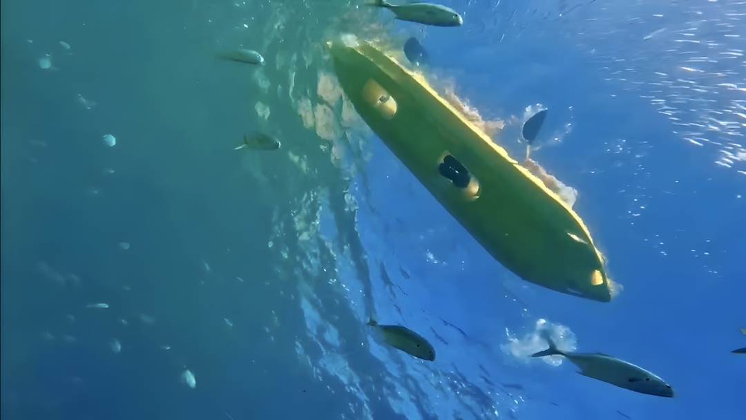Glass-Bottom Kayaking in Cabo & Snorkeling Tour at Two Bays 7