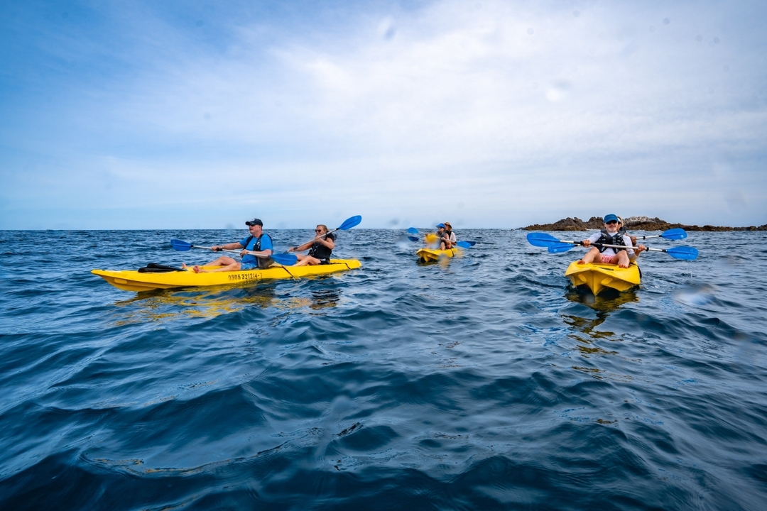 Glass-Bottom Kayaking in Cabo & Snorkeling Tour at Two Bays 9