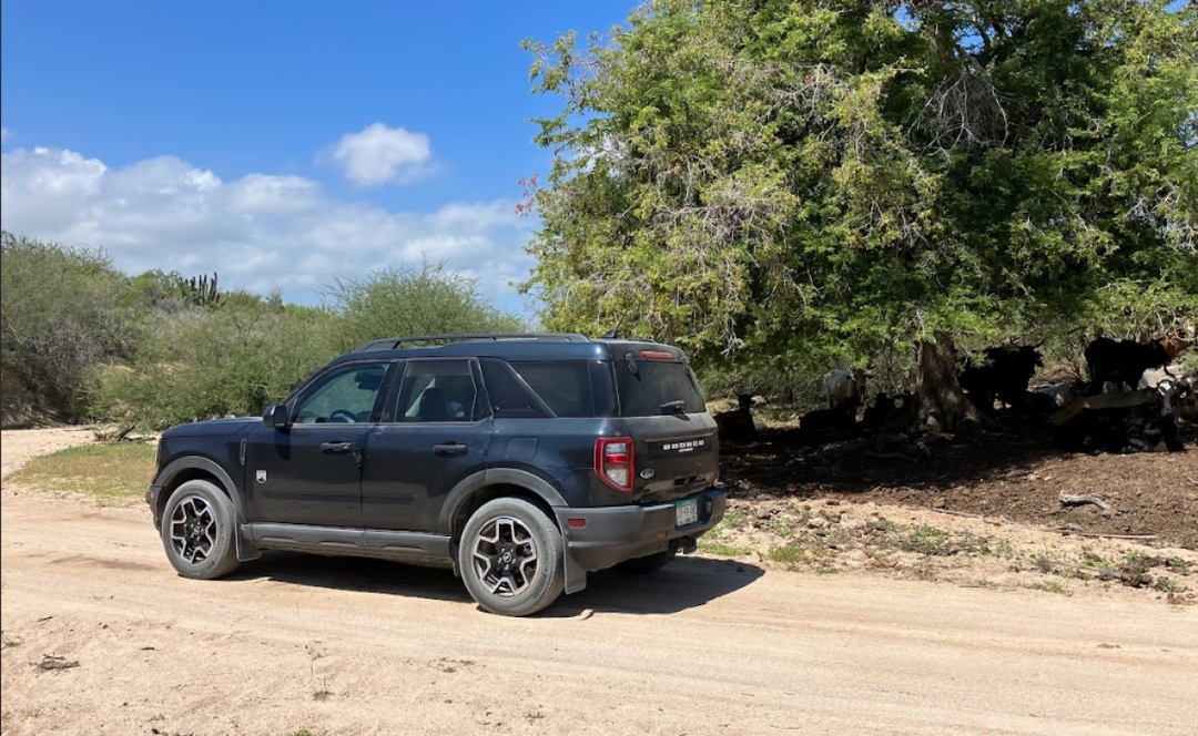 Baja Off-Road Private Jeep Tour 3