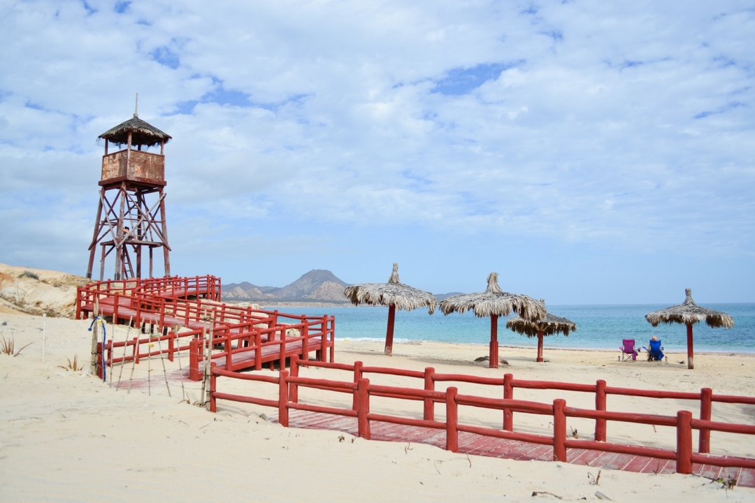 Cabo Pulmo Private Jeep Tour 6