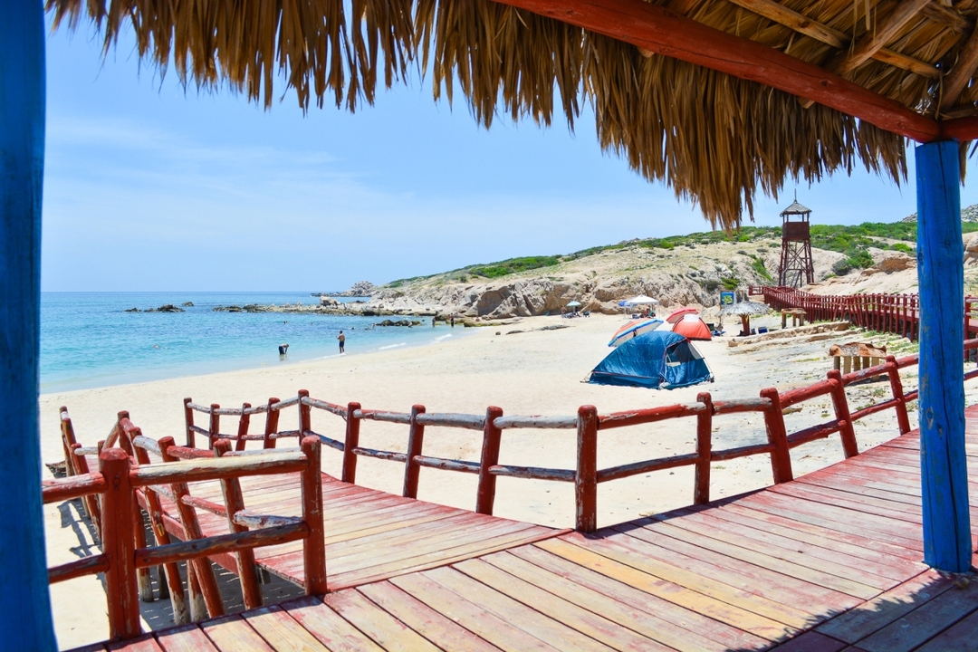 Cabo Pulmo Private Jeep Tour 7