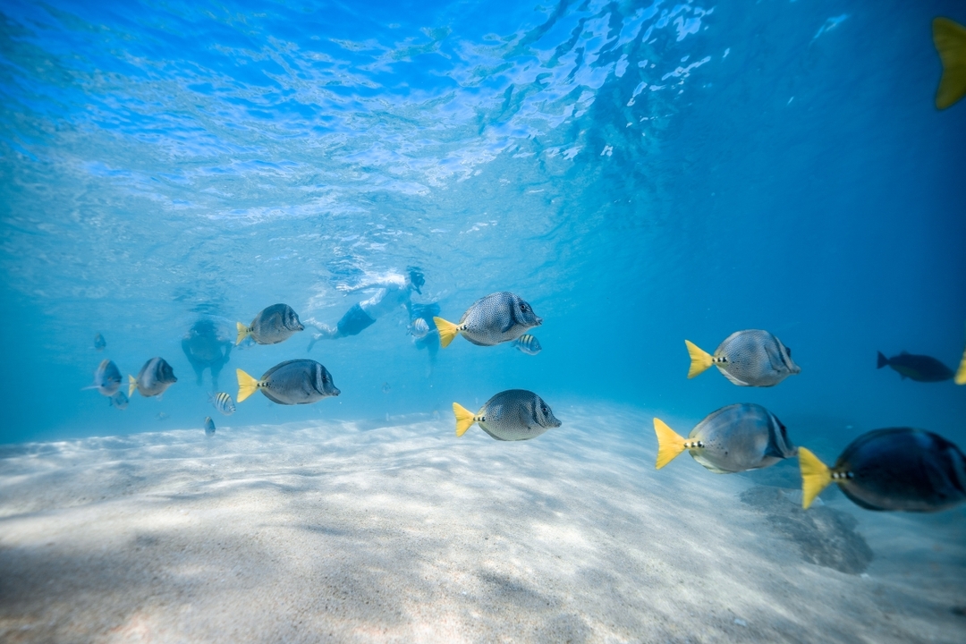 Private Kayak & Snorkel Tour at Two Bays 6