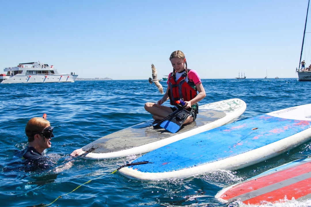 Private Los Cabos Paddle Boarding Tour 3