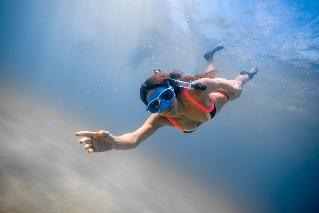 Private Cabo Snorkel Tour 1