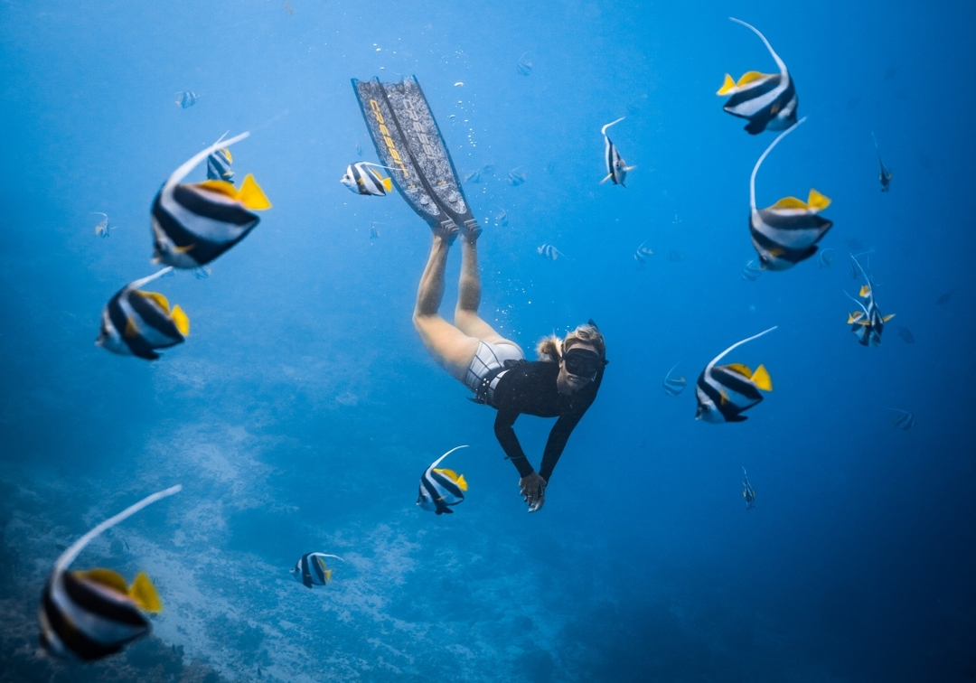 Private Cabo Snorkel Tour 2