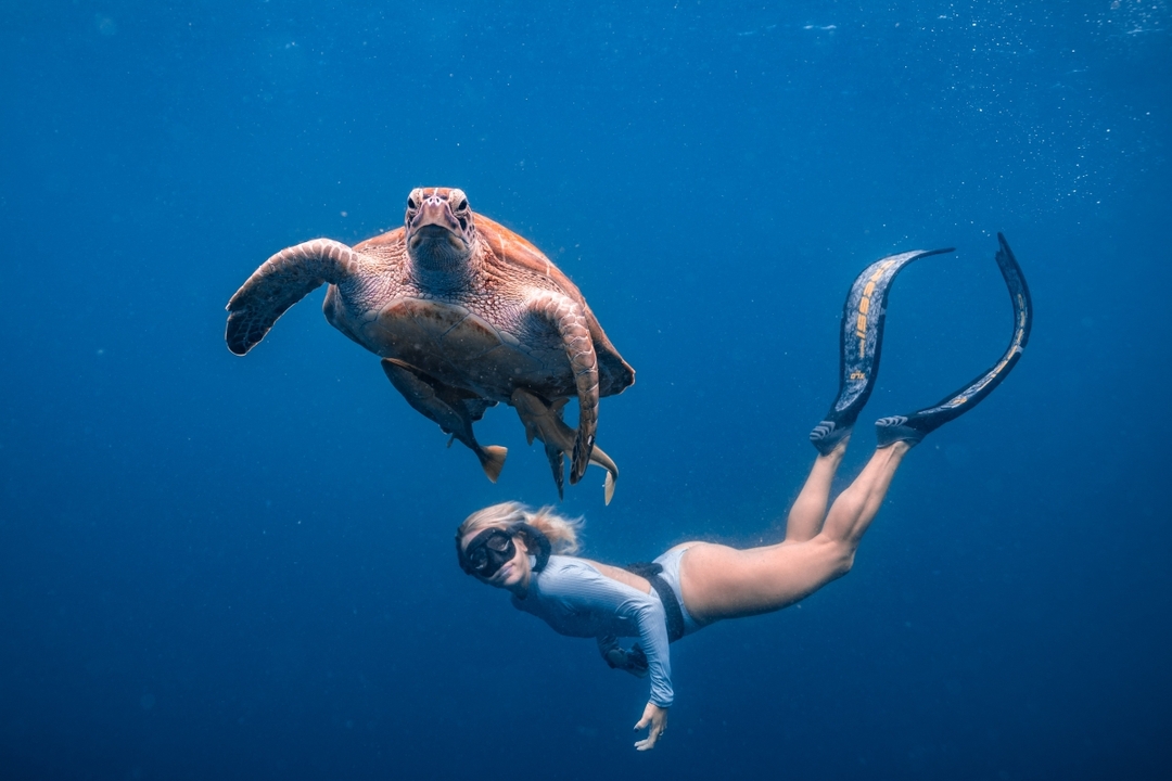Private Cabo Snorkel Tour 3