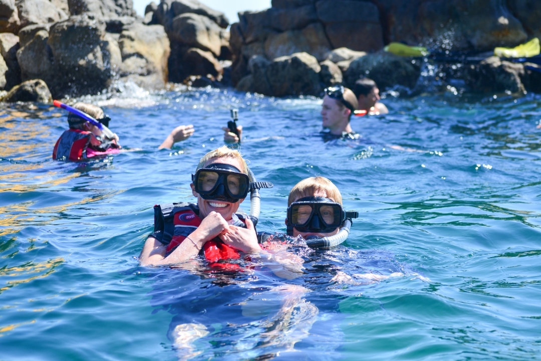 Private Cabo Snorkel Tour 4