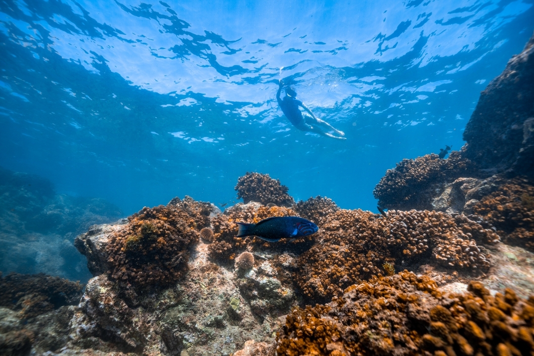 Private Cabo Snorkel Tour 5