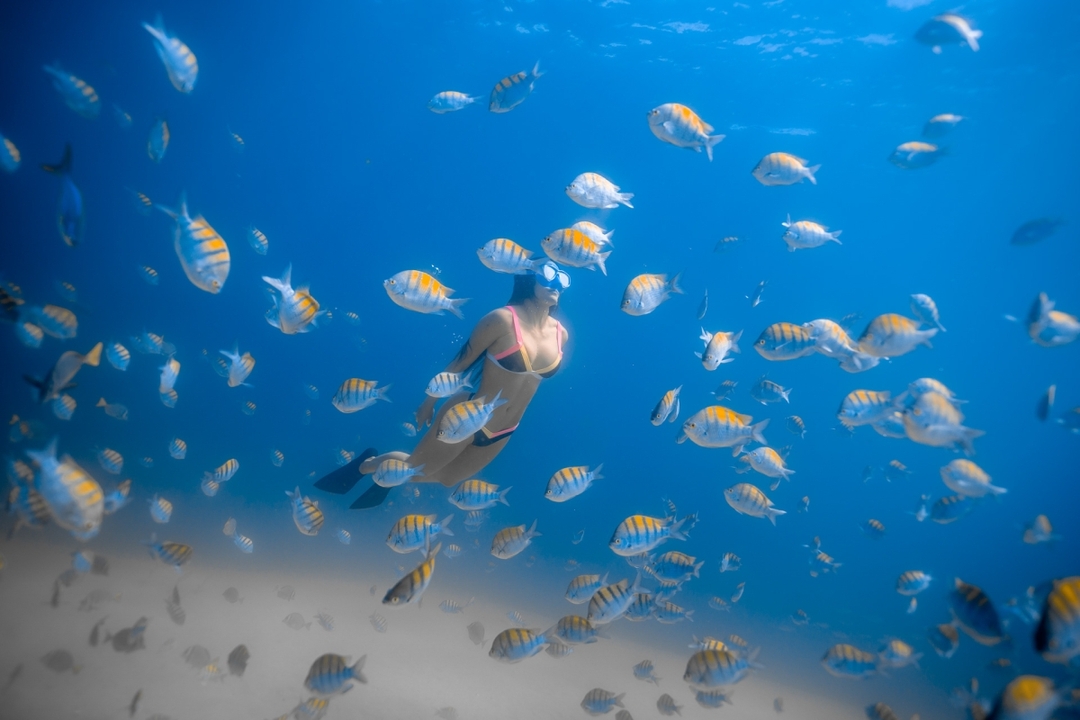 Private Cabo Snorkel Tour 9