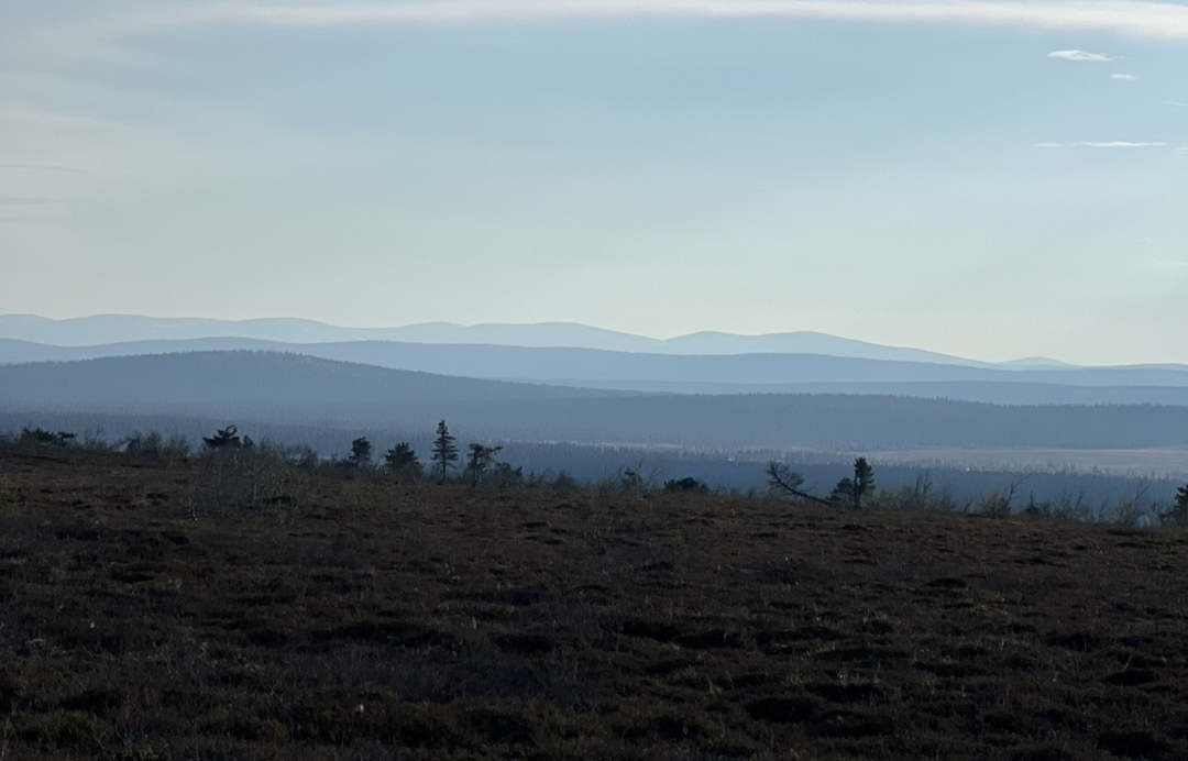 Autumn Hike and Reindeer Farm Visit 5
