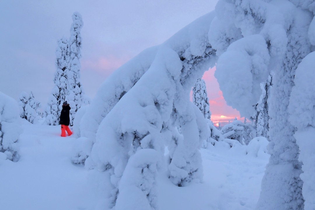Winter Northern Lights Adventure 5