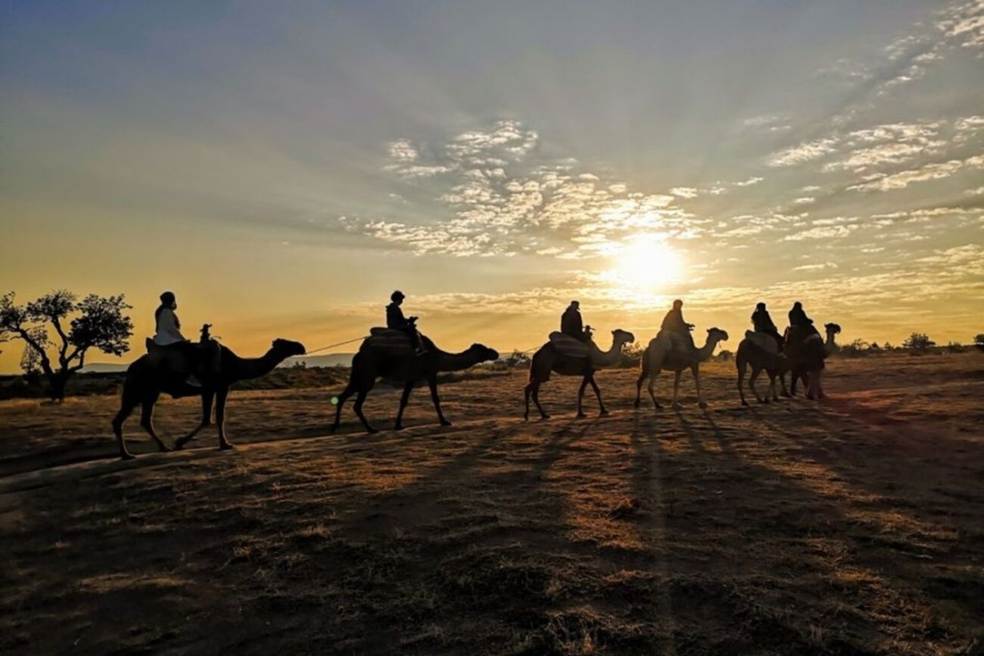 Cappadocia Sunrise/Sunset  Or Day Option Camel Ride Including Hotel Round Transfer 6