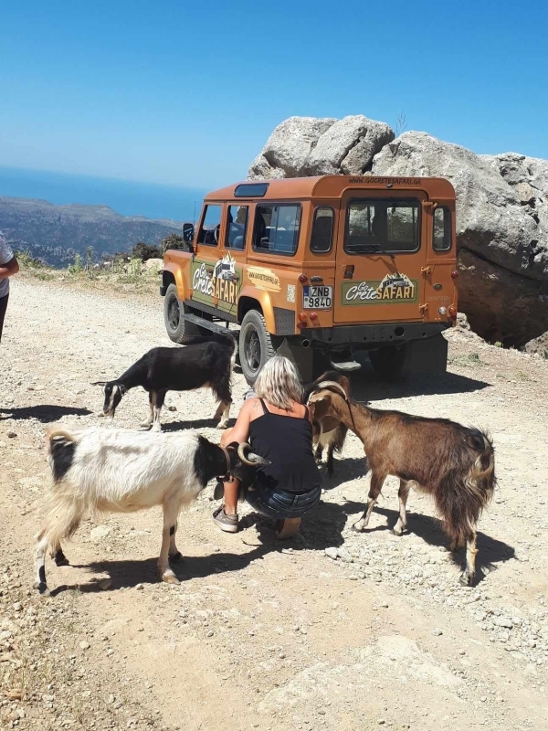 Paradise of Eastern Crete (Family and child friendly) 2