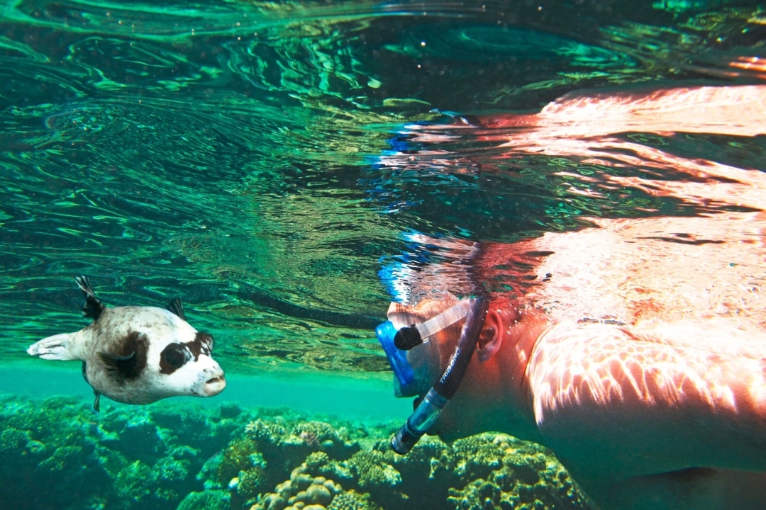 Egypt: 11-Hour Dahab Adventure: Blue Hole, Snorkelling, Camel ride and Lunch from Sharm El Sheikh 5