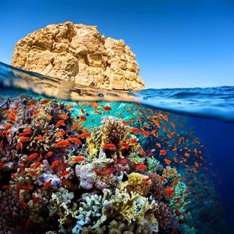 Egypt: 3-Hour Sharm El Sheikh Submarine Tour 1