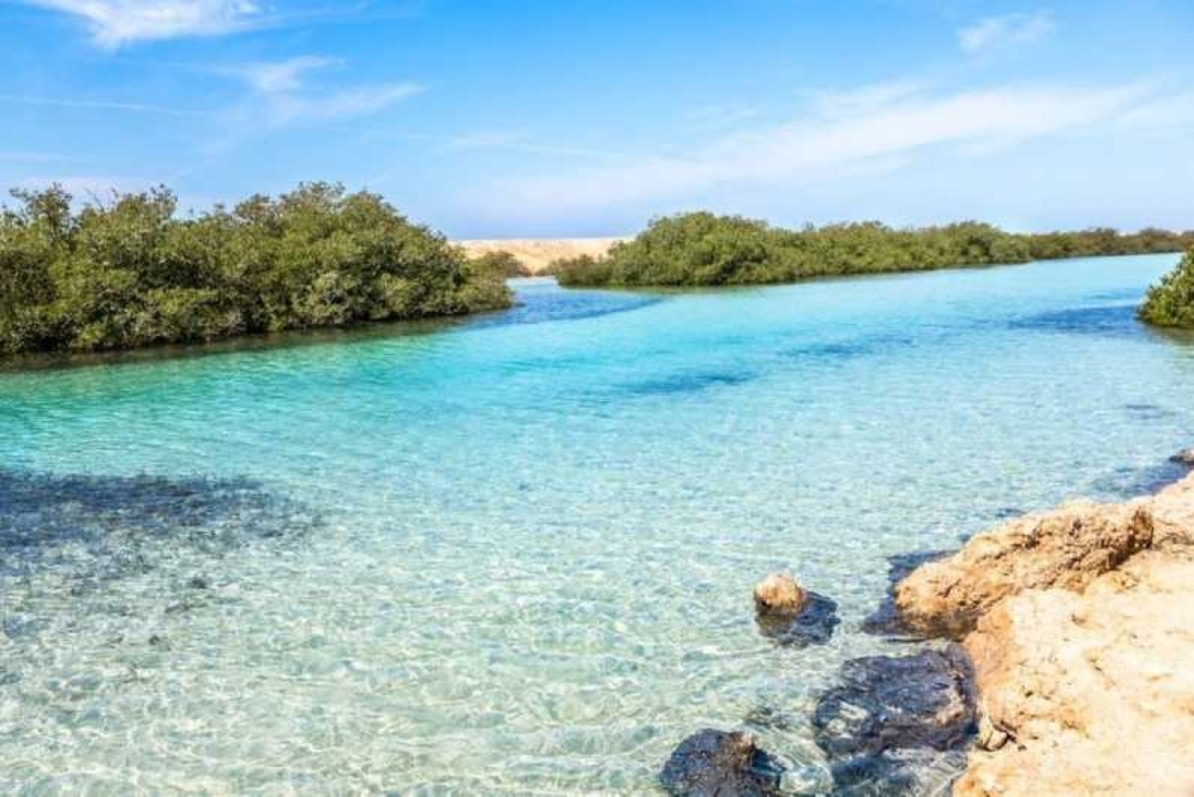 Egypt: 7-Hour Sharm El Sheikh’s Hidden Gem: Ras Mohamed National Park Guided Bus Tour 2