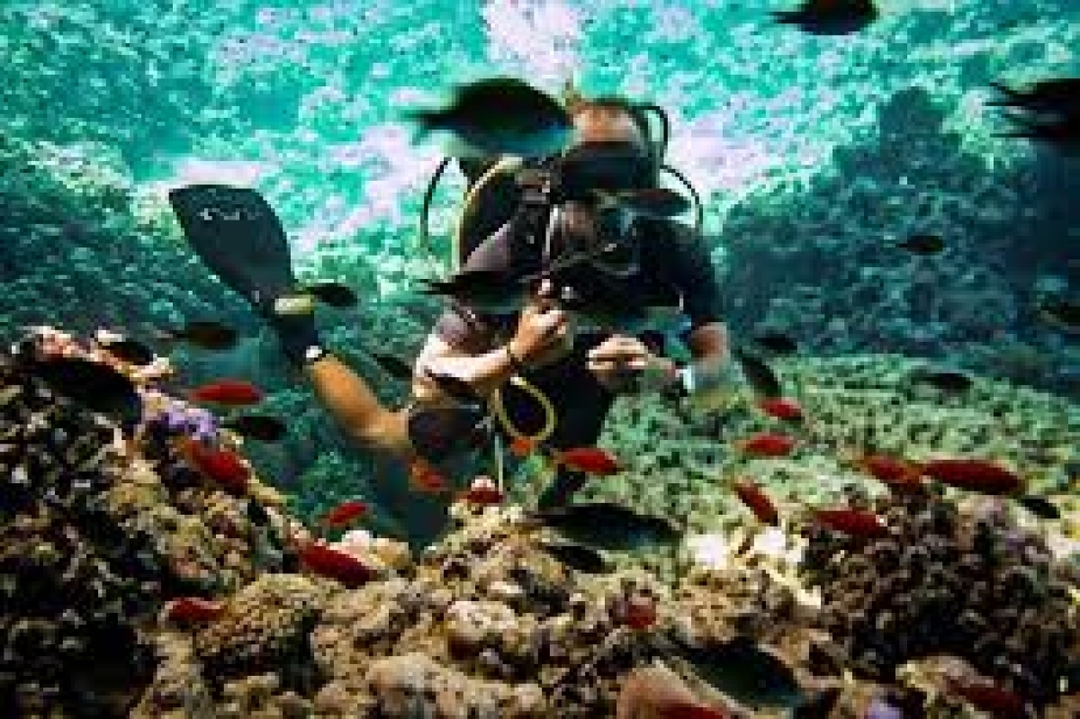 Egypt: 7-Hour Sharm El Sheikh’s Hidden Gem: Ras Mohamed National Park Guided Bus Tour 7