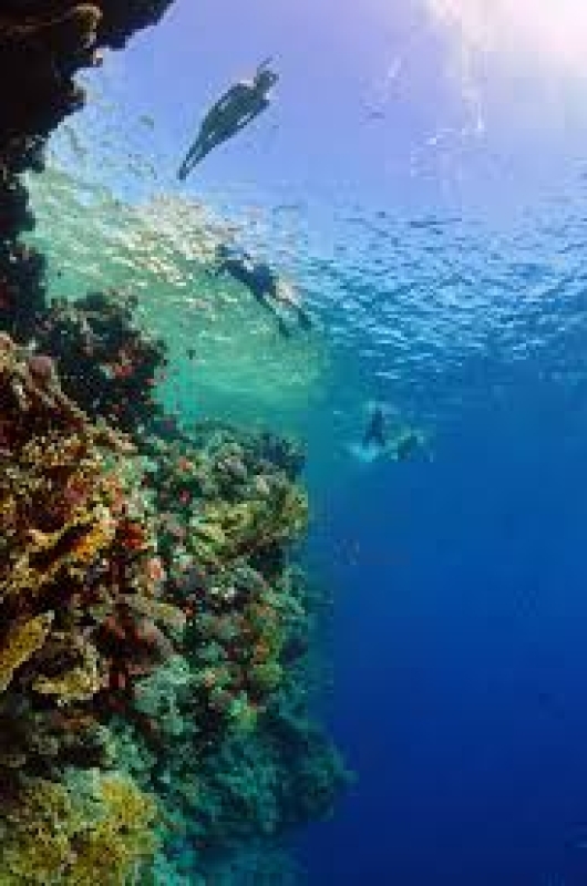 Egypt: 7-Hour Sharm El Sheikh’s Hidden Gem: Ras Mohamed National Park Guided Bus Tour 8
