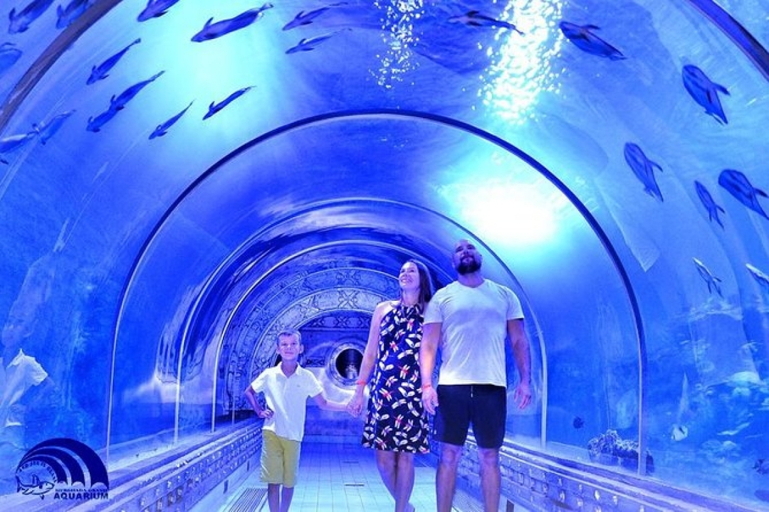Egypt: 5-Hour Private Hurghada City Exploration 5